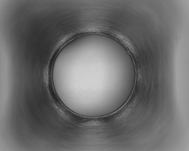 X0000113130578200909110916