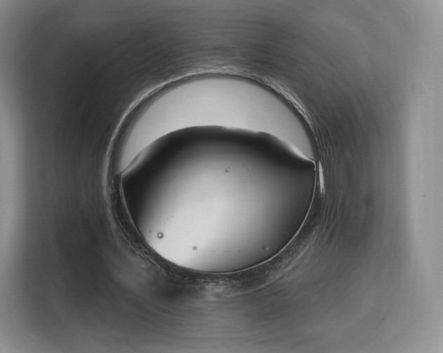 X0000113130579200909110916