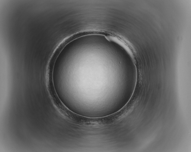 X0000113130580200909110916