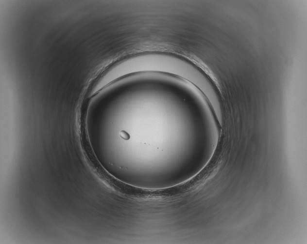 X0000113130581200909110916