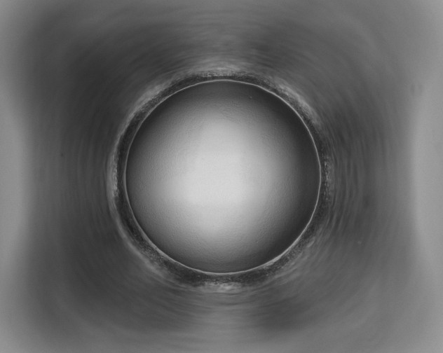 X0000113130582200909110916