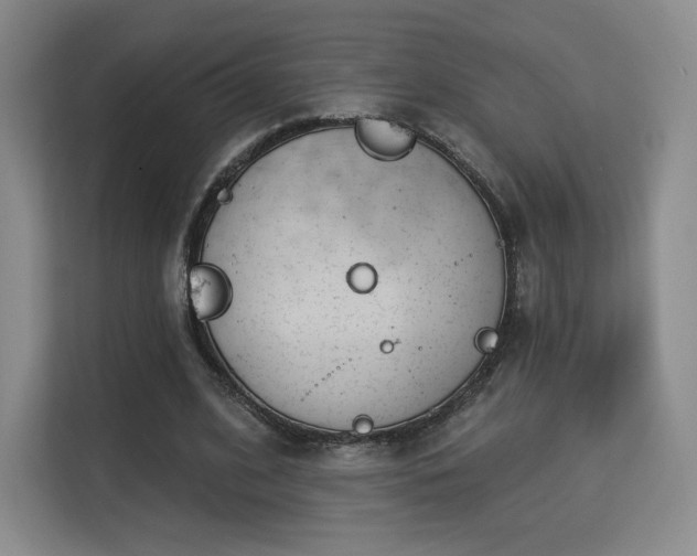 X0000113130584200909110916