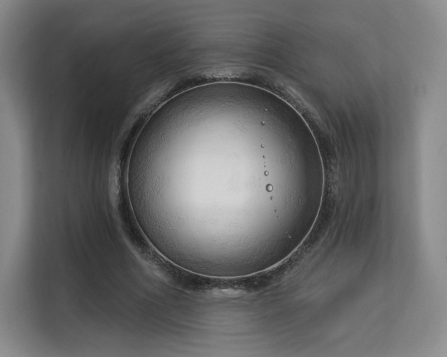 X0000113130586200909110915