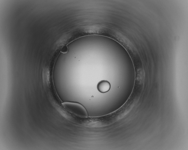 X0000113130589200909110915