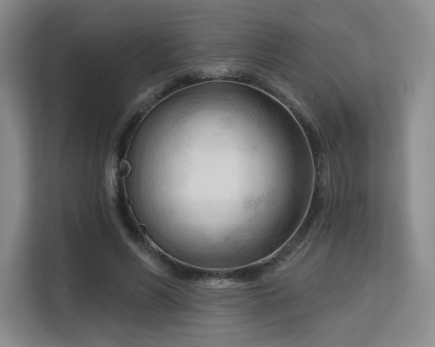 X0000113130590200909110915