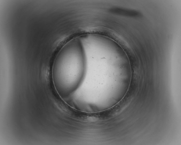 X0000113130592200909110915