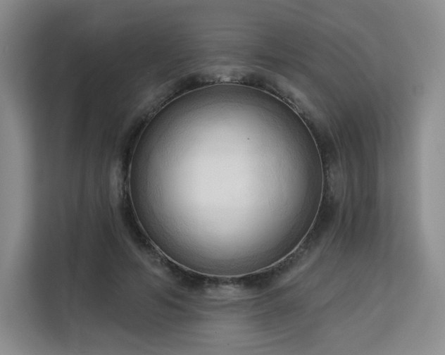 X0000113130594200909110915