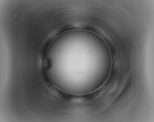 X0000113130595200909110915