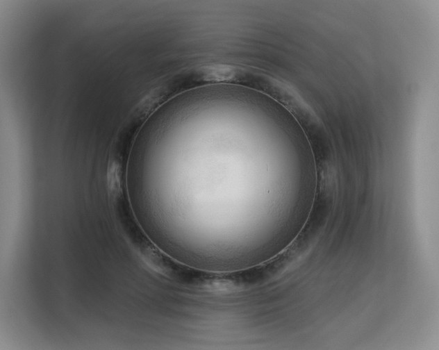 X0000113130598200909110915