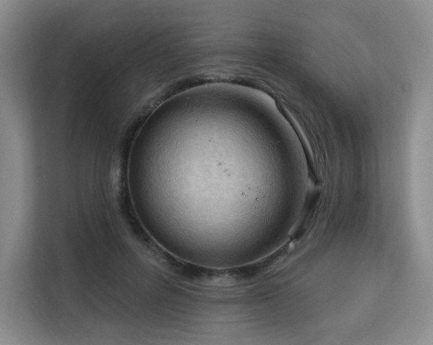 X0000113130600200909110915