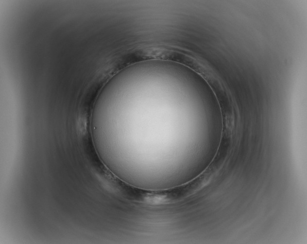 X0000113130602200909110915