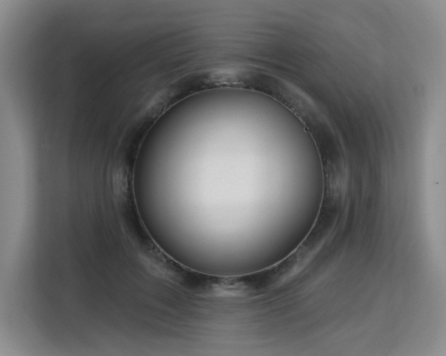 X0000113130603200909110915