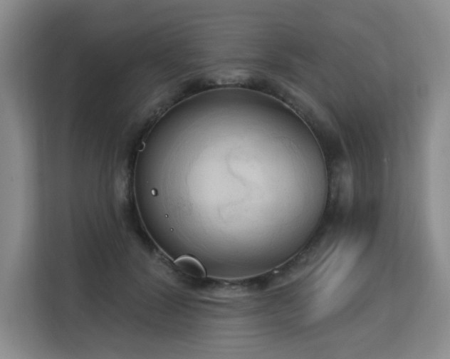 X0000113130604200909110915