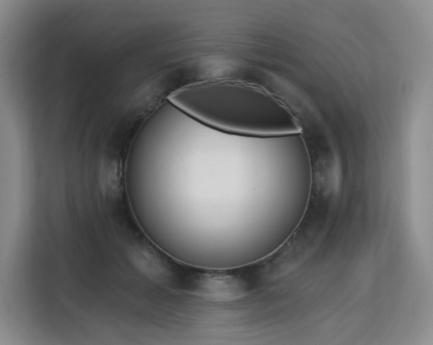 X0000113130605200909110915