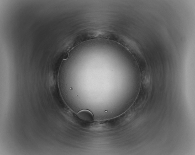 X0000113130607200909110915