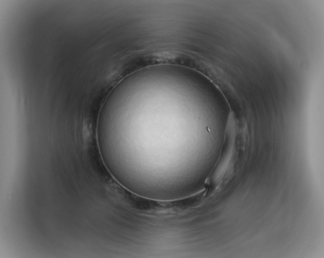 X0000113130608200909110915