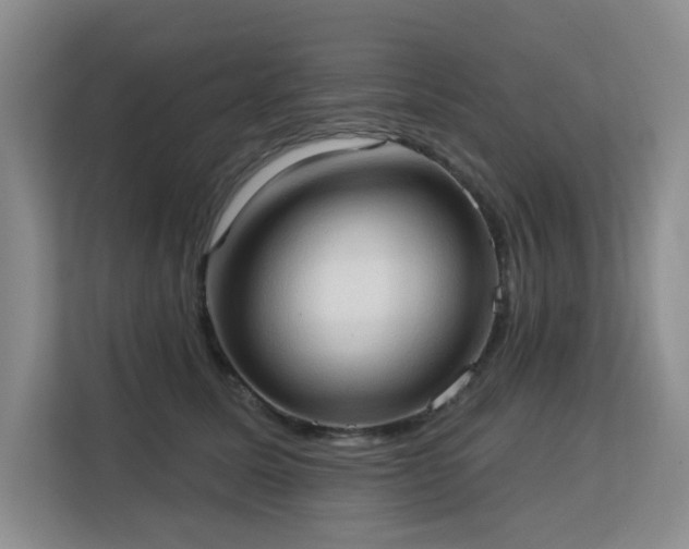 X0000113130611200909110915