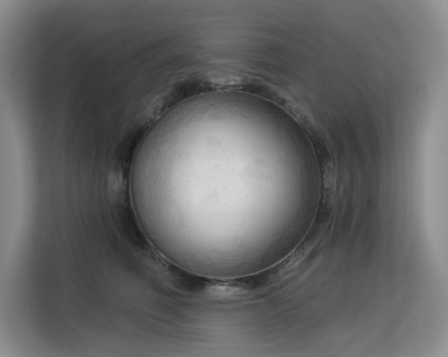 X0000113130614200909110915