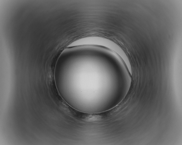 X0000113130617200909110915