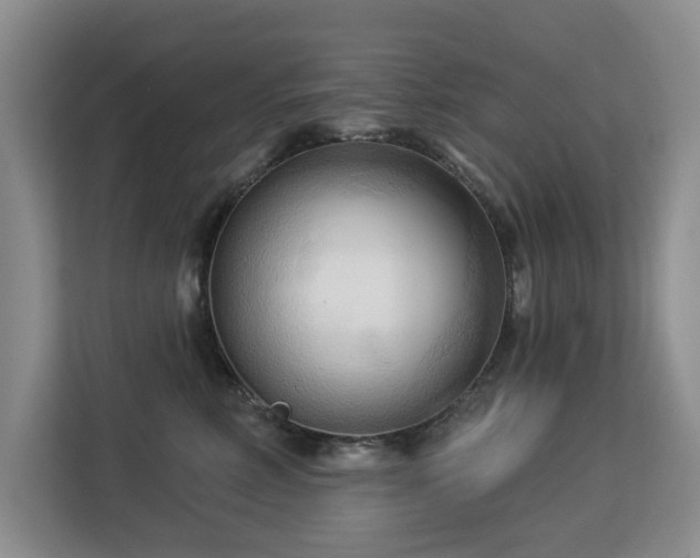 X0000113130618200909110915