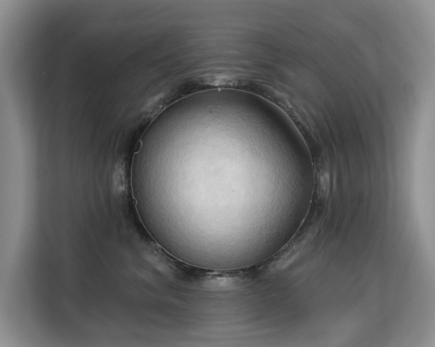 X0000113130620200909110915