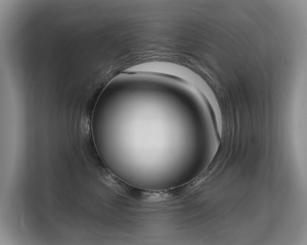 X0000113130621200909110915