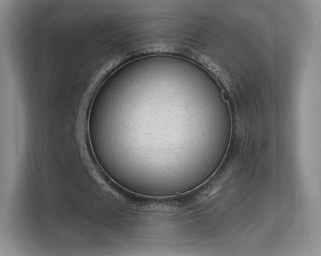 X0000113130625200909110914