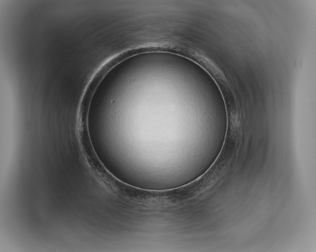 X0000113130628200909110914