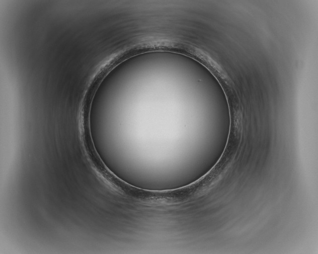 X0000113130629200909110914