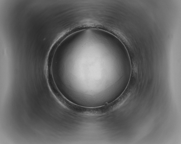 X0000113130630200909110914