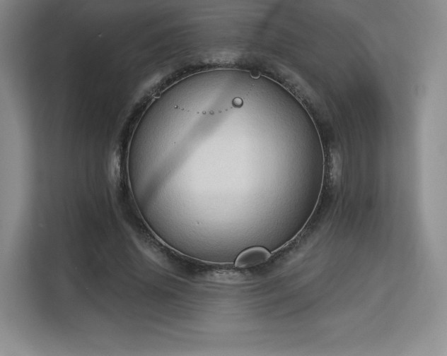 X0000113130636200909110915