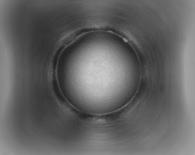 X0000113130640200909110915