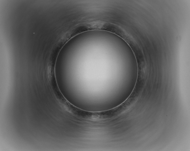 X0000113130641200909110915