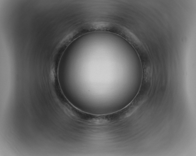 X0000113130644200909110915