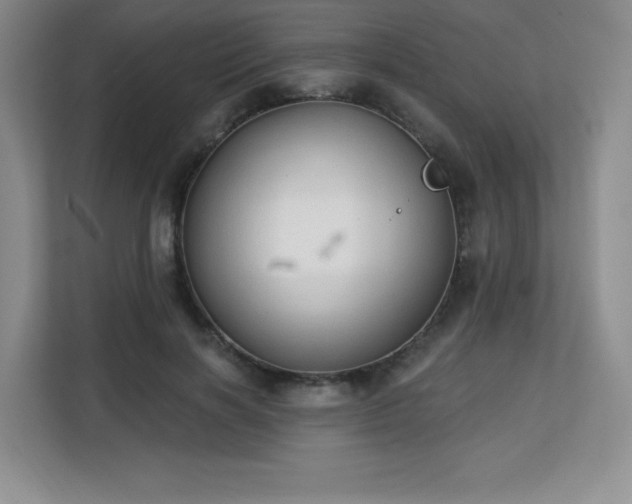 X0000113130646200909110915