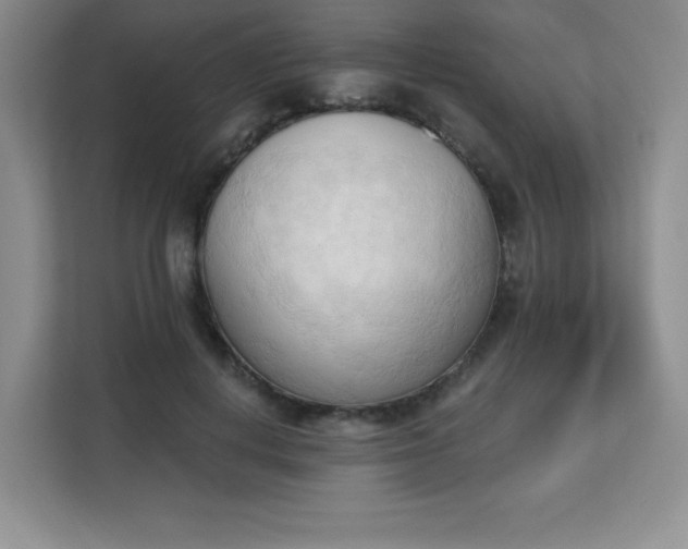 X0000113130648200909110915