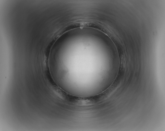 X0000113130650200909110915