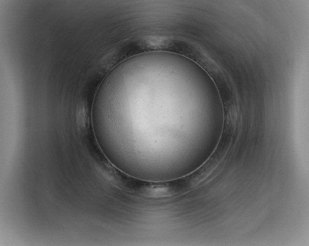 X0000113130651200909110915