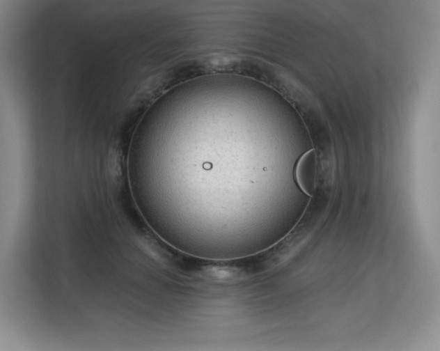 X0000113130654200909110915