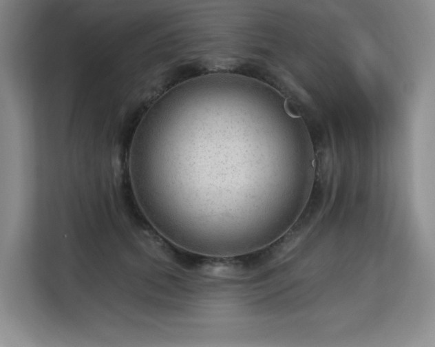 X0000113130655200909110915