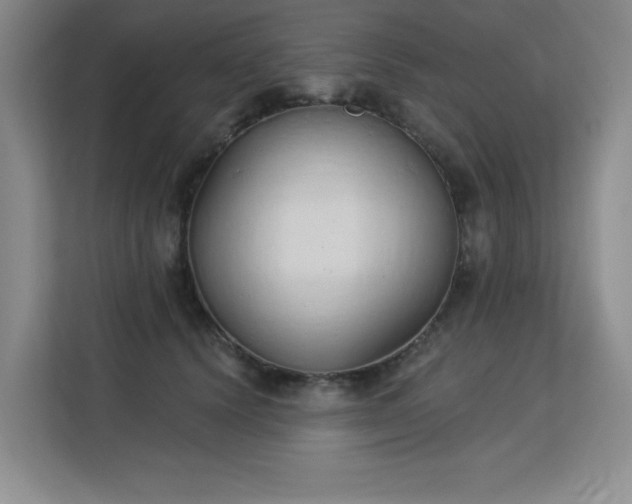 X0000113130656200909110915