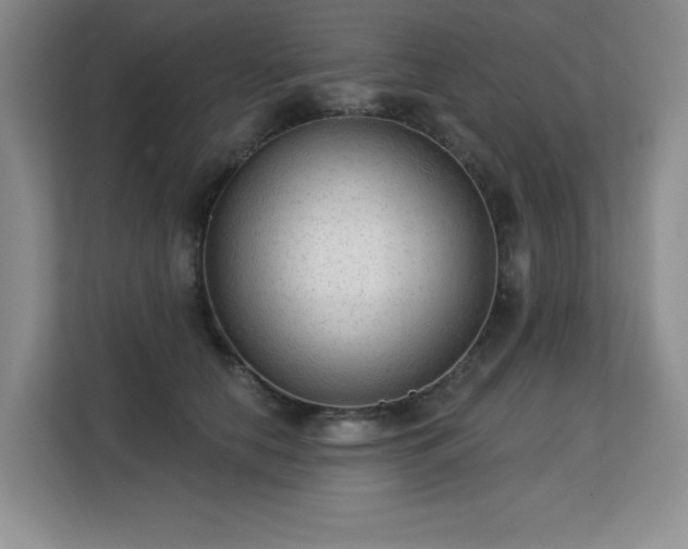 X0000113130658200909110915