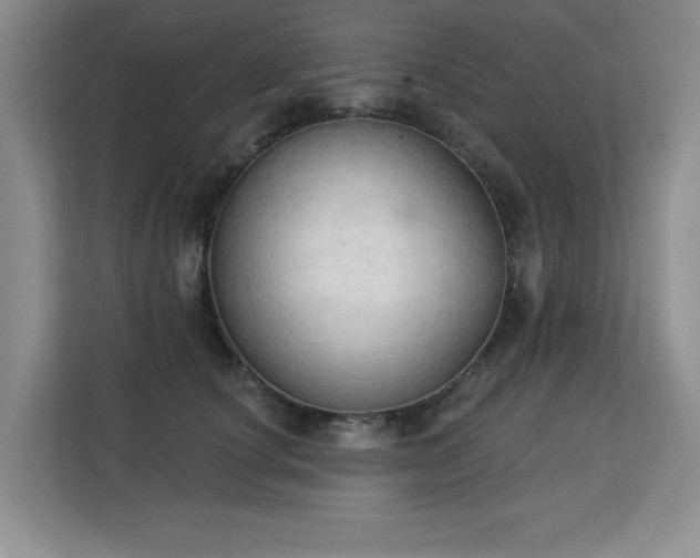 X0000113130660200909110915