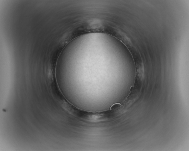 X0000113130662200909110915