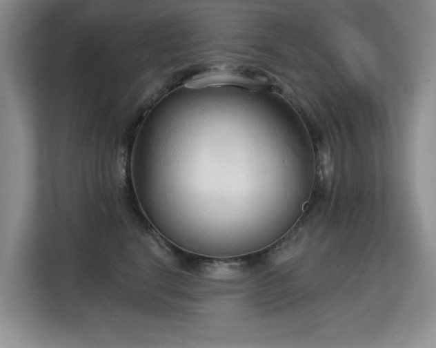 X0000113130664200909110915