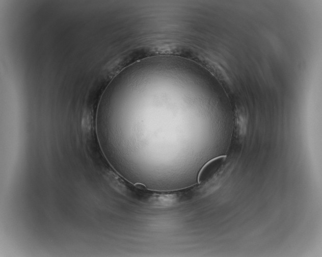 X0000113130665200909110915