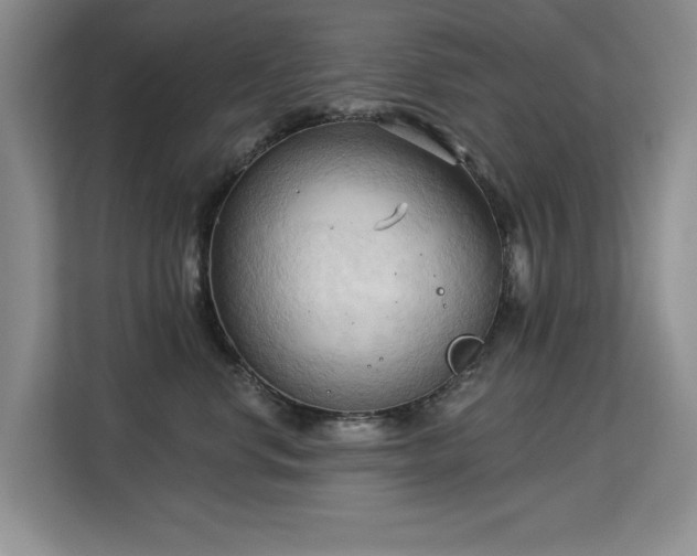 X0000113130668200909110915