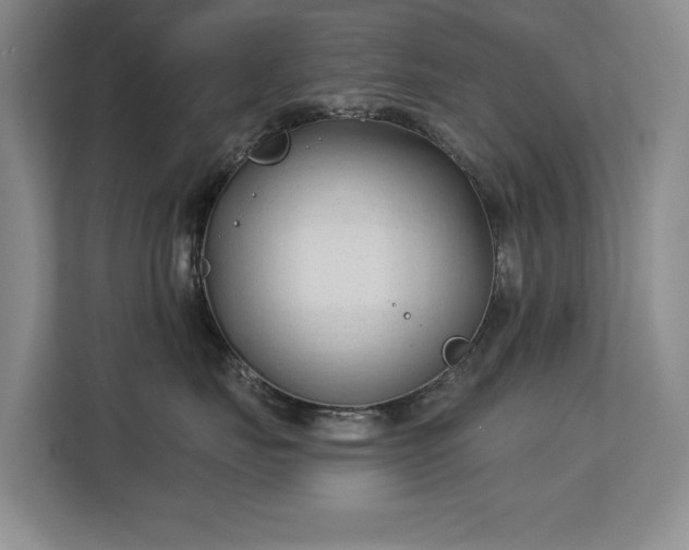 X0000113130671200909110915