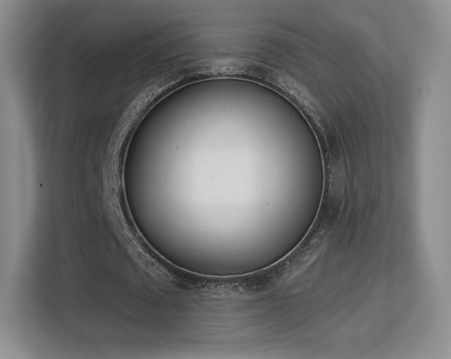 X0000113130673200909110914