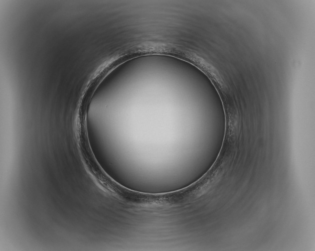 X0000113130674200909110914